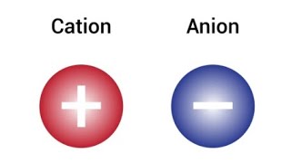 Charges of cations and anions chemistry cations anions chemistry class10 cbse [upl. by Imaj]