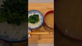 Cooking with Fresh Daikon Radish Leaves Simple Japanese Meal 🥘 food [upl. by Led]