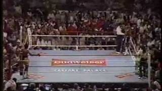 Hagler vs Hearns Round 3mp4 [upl. by Schoenfelder]