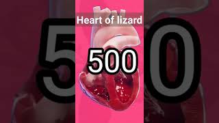 heart of lizard  short shorts viral facts learnwithsmartwork [upl. by Violante]