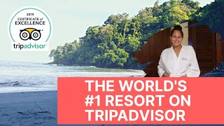 The Number 1 Resort In The World [upl. by Gaston]