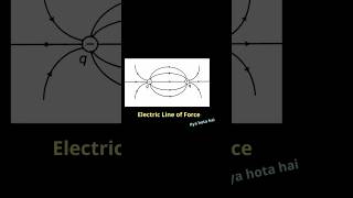 Mastering Electric Field Lines Class 12 Physics  Complete Explanation [upl. by Latreece920]