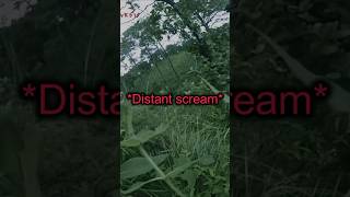 Terrifying Hiking Footage creepy [upl. by Crispa]