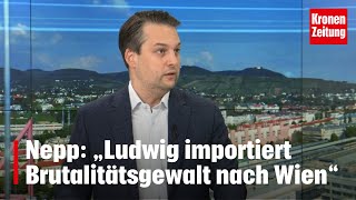 Nepp „Ludwig importiert Brutalitätsgewalt nach Wien“  kronetv NACHGEFRAGT [upl. by Akinhoj]