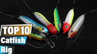 Best Catfish Rigs 10 MustHave Rigs for Fishing [upl. by Ecinreb]