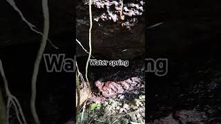 Beautiful nature Water spring [upl. by Ethbin]