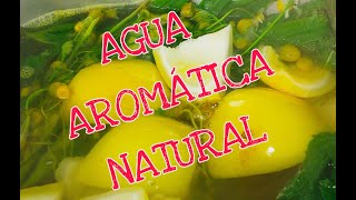 Cómo hacer agua aromática bája en calorias bebida vegetariana [upl. by Yvon983]