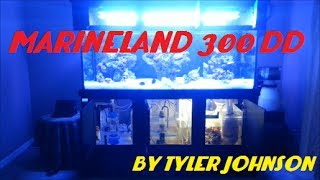 300 Gallon Marineland DD System Walk Through [upl. by Bing]