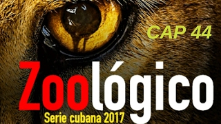 SERIE CUBANA ZOOLOGICO CAP 44 [upl. by Arammahs169]