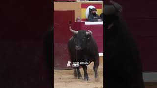 RECOPILACIÓN DE TOROS SALTADORES [upl. by Repmek]