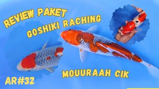 REVIEW ‼️ IKAN KOI GOSHIKI RACHING DAN JUGA SANKE SUPER HANYA DI ARIN KOI 😋 [upl. by Sianna]