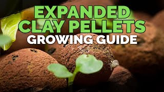 Expanded Clay Pellets Hydroton Growing Guide [upl. by Boggers]