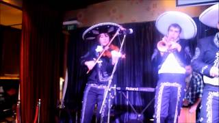 Mariachi Band For Hire  Auckland NZ  Jarabe Tapatio [upl. by Zanas236]