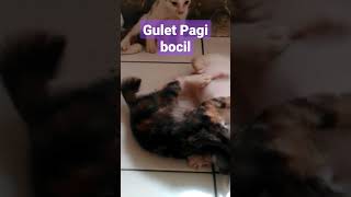 GULET PAGI BOCIL [upl. by Garnett]