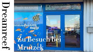 Zu Besuch bei Mrutzek [upl. by Akirej]