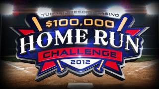 100000 Home Run Challenge [upl. by Wymore]