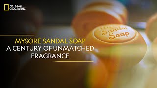 Mysore Sandal Soap  A Century of Unmatched Fragrance  It Happens Only in India  NatGeoIndia [upl. by Eilama665]