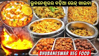 AMAZING VEG FOOD IN BHUBANESWAR  STREET FOOD BHUBANESWEAR  STREET FOOD ODISHA  ODIA VLOG RKPLIFE [upl. by Ennayoj]