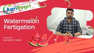 Agribegri Free Advisory  Dr Ramesh  All You Need To Know About Watermelon Fertigation [upl. by Niwde]