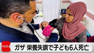 ガザ栄養失調で子供6人死亡 ハマス停戦交渉「柔軟性示している」（2024年2月29日） [upl. by Lerred]