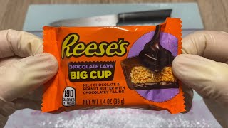 REESE’S CHOCOLATE LAVA BIG CUB Candy Bar [upl. by Beck240]