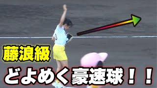 【甲子園がどよめく程の豪速球！！テニス 加藤未唯さんの始球式！！】阪神対横浜 [upl. by Lebisor]