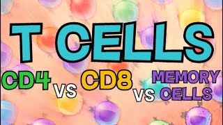 CellMediated Cellular Immunity aka Tcell immunity  Physiology amp Immunology [upl. by Ttereve]