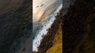 Surfing into sunset azores azoresislands fpv fpvdrone sunset portugal [upl. by Eidissac]