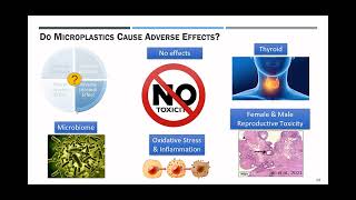 Session 3 Impact of Microplastics on Human Health [upl. by Akinit99]