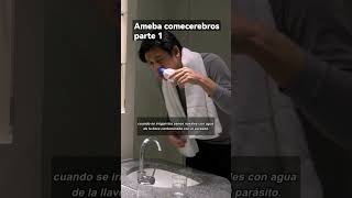 🔬Naegleria fowleri la ameba COMECEREBROS PARTE 1🔴 microbiología parasitologia enfermedadesraras [upl. by Lindo]