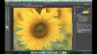 PS13ทำให้ภาพคมชัดมากขึ้นด้วย Filter High Pass Adobe Photoshop High Pass [upl. by Elocaj]