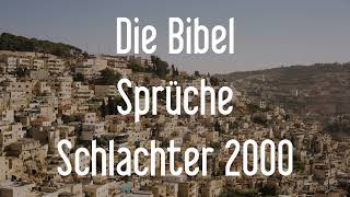 Das Buch der Sprüche  Die Bibel als Hörbuch Schlachter 2000 [upl. by Nehgam99]