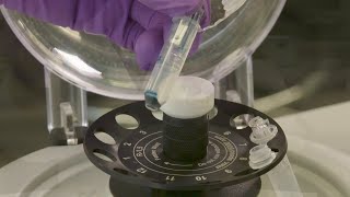 How to Perform a quotReverse Spinquot with an Amicon® Ultra Centrifugal Filter [upl. by Nekcerb965]