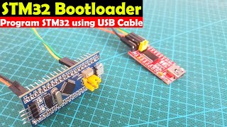 STM32 Bootloader STM32F103C Programming using USB Port STM32 LED Blinking STM32 for beginners [upl. by Ahsie]