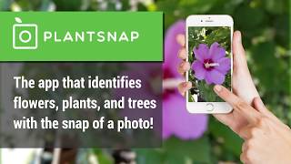 PlantSnap  App Preview for Google Play [upl. by Aihsenad419]