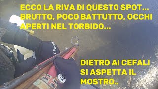 NOVEMBRE VIDEO PESCA SUB MAI GIUDICARE UNO SPOT DALLA RIVAspearfishing [upl. by Nash]