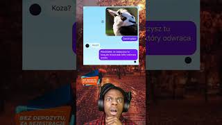 capcut meitu smieszne polska viral rapapa [upl. by Haggai]