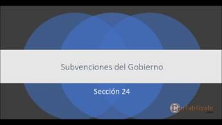 Subvenciones del Gobierno Sección 24 [upl. by Henke]