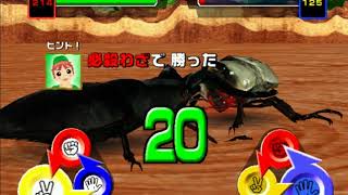 Mushiking 2k5 Japan Giraffe stag beetle gameplay [upl. by Ahsik]