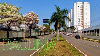 PAULINIASP FORA DO CENTRO Diferente de tudo que você já viu [upl. by Nedda]