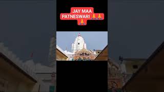 MAA PATANESWARI 🙏🙏🙏shorts bhakti [upl. by Merdith]