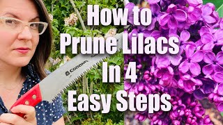 How to Prune Lilacs in 4 Easy Steps [upl. by Settera437]