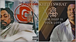 Keith Sweat x Celly Cel  quotHow Deep Is Your LoveIts Goin Downquot slowed bundaffwe [upl. by Enneyehs921]