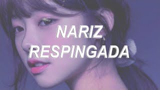 ❛ Nariz respingada ❜ ⸺ 𝐚𝐮𝐝𝐢𝐨 𝐬𝐮𝐛𝐥𝐢𝐦𝐢𝐧𝐚𝐥 [upl. by Nerot]