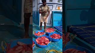 Mangalore boat 1st day we caught lot of unnimary fishes 👇 seafood fishing thenkadalmeenavan [upl. by Janine]