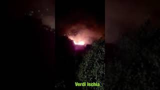 Vasto incendio a Ischia paura per le abitazioni [upl. by Junji]