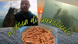 A PESCA DI CANNOLICCHI  VIDEO SPETTACOLARE [upl. by Ellehcal]