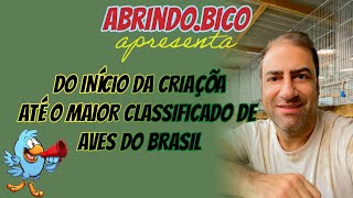 Do início da criação até o maior Classificado de aves do Brasil [upl. by Allis]