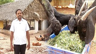 ஒருங்கிணைந்த பண்ணையத்தில் இவர் கூறும் வருமானம் சாத்தியமா   Malarum Bhoomi [upl. by Azial]