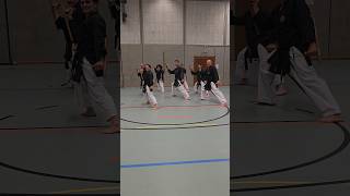 Tonfa Kobudo Martial Arts Weapons Kata Matayoshi No Tonfa Dai Ichi [upl. by Aveline137]